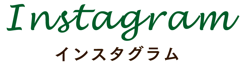 インスタグラム