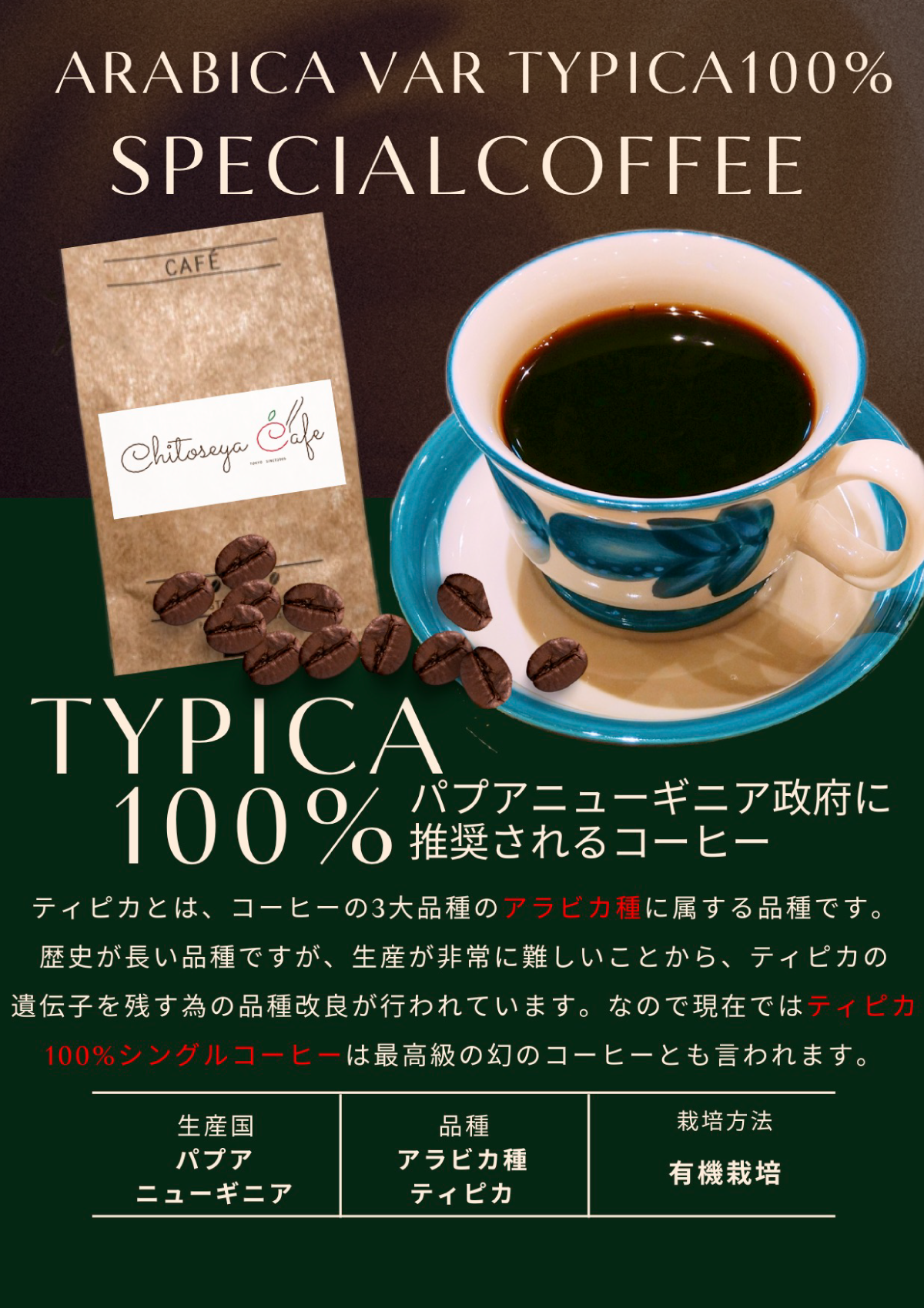 パンフレット